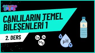 Canlıların Temel Bileşenleri 1 tytbiyoloji 2ders [upl. by Nipha]