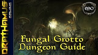 Elder Scrolls Online ► Fungal Grotto Dungeon Guide [upl. by Pravit]