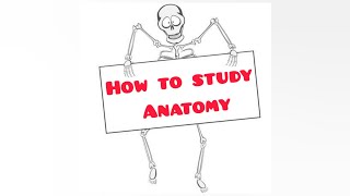 How to study anatomy l study tips l Tamil [upl. by Craig970]