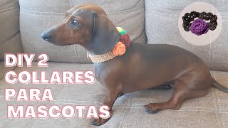 DIY 2 COLLARES CON FLORES PARA PERRITOS O GATITOS Crochet tejido ganchillo para mascotas [upl. by Iclek]