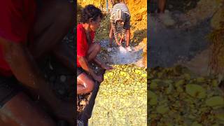 FINDING TREASURE WE FOUND GOLD ON CLIFF HILL shortsvideo treasurehunting goldminer goldnuggets [upl. by Benn]