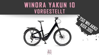 WINORA YAKUN 10 VORGESTELLT  GUTES PREISLEISTUNGSVERHÄLTNIS [upl. by Tam899]