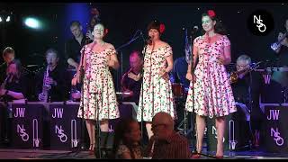 The Northern Swing Orchestra and The Honeybirds  In The Mood  Shoo Shoo Baby [upl. by Laurie]