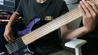 Human Murmuration ARCHSPIRE Bass Cover  DingwallGuitars NG2 [upl. by Rafael575]