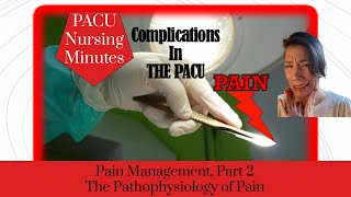 Pain Management Part 2 The Pathophysiology of Pain [upl. by Annairb554]