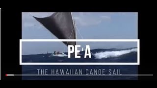 hawaiian canoe sail peʻa [upl. by Wescott]