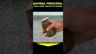 Como hacer tintura de romero muchas propiedades medicinales [upl. by Freeman]