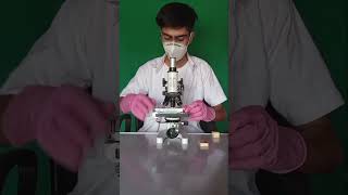 pani puri under microscope 😲viralvedio microscope science savdhanindia [upl. by Bethesda]