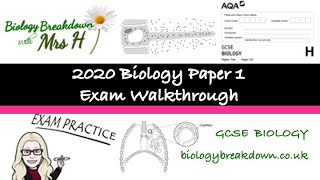 GCSE Biology 2020 Paper 1 Walkthrough [upl. by Enirok386]