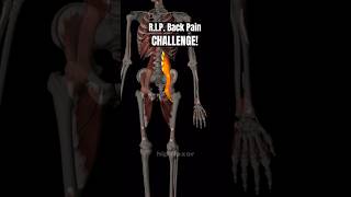 RIP Back pain challenge hip flexor VS multifidus [upl. by Malachy377]