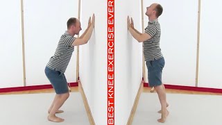 Best knee exercise ever [upl. by Faythe788]