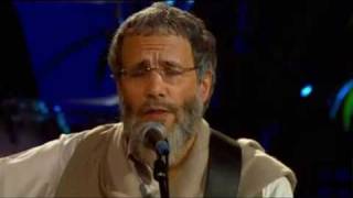 Cat Stevens Yusuf Islam  Wild World [upl. by Aicnerolf]