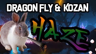 Dragon Fly amp Kozan  HAZE prod KisumBeatz amp PrymusBeats Offizielles Musikvideo [upl. by Valdemar]