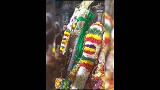 madurayampathi mudi soodum naal sengol endhi aatchi puriyum naal sankaran chokkanukku pattabhisekam [upl. by Crissy]