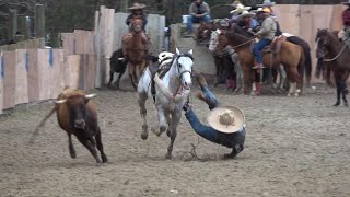 coleadero en el lienzo charro el zacatecano 03202021 [upl. by Geraldine]