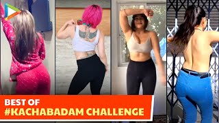 Best Of KachaBadam Challenge🔥 ft Anjali Arora Sofia amp others  Kacha Badam Instagram Reels [upl. by Oletta]