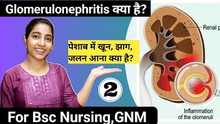 What is GlomerulonephritisCauses symptomsdiagnosistreatmentGNMBsc nursing [upl. by Jestude]