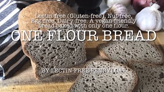 One Flour Bread  Lectinfree Glutenfree Nutfree Vegan friendly Only need one flour to bake [upl. by Sucirdor]