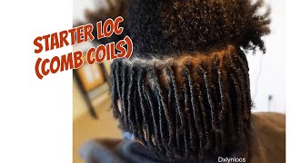 STARTER LOCS no gel no wax  WHAT TO EXPECT [upl. by Otsugua815]