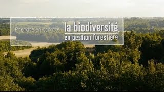 Prendre en compte la biodiversité en gestion forestière [upl. by Teyut776]