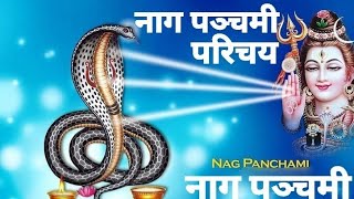 Whats So Interesting About Nag Panchami Introduction nagpanchami nagdevta [upl. by Hamirak923]