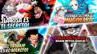 4 TEORÍAS de ONE PIECE sobre FRUTAS DEL DIABLO Barbanegra Gorosei Dragon y Vivi [upl. by Annaoj]