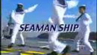 Japan Maritime Self Defense Force quotDancequot [upl. by Nissie]