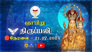 🔴 LIVE  Sunday Holy Mass in Tamil  21th July 2024  Annai Vailankanni Shrine  Besant Nagar Annai [upl. by Ossie985]