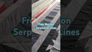 Free Motion Quilting Serpentine Lines on a Border longarmquilting freemotionquilting [upl. by Anitnahs]