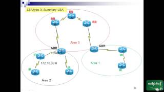 49 Topologie OSPF [upl. by Nomma318]