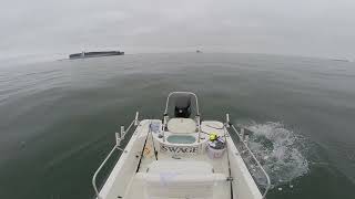 Angry small Thresher Shark tail slaps boat [upl. by Eimirej]