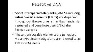 Week 6 lecture 7 repetitive DNA [upl. by Crandale]