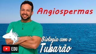 Angiospermas  Botânica  Biologia com o Tubarão [upl. by Amsab962]