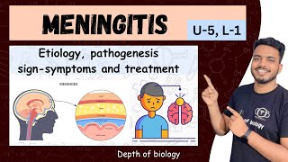 meningitis pathophysiology  meningitis nursing  meningitis notes  meningitis depth of biology [upl. by Hteik]