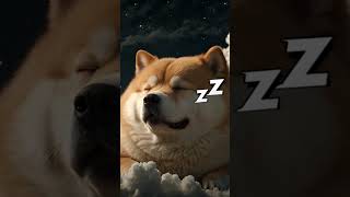 🐶☁️ 雲端上的狗狗  4小時吉他搖籃曲慢節奏音樂 🎶 放鬆的睡眠音樂 💤助眠音樂 舒眠音樂 吉他音樂 水晶音樂 輕音樂 睡覺 放鬆音樂 睡眠音樂 [upl. by Aneleairam]