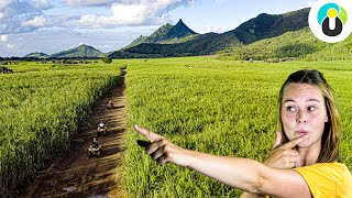 Das MUSST du auf Mauritius gemacht haben Tipps für Urlaub  Lari auf Safari [upl. by Yort]