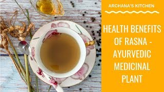 Health Benefits of Rasna Alpinia Galanga  Ayurvedic Medicinal Plant [upl. by Yrnehnhoj]