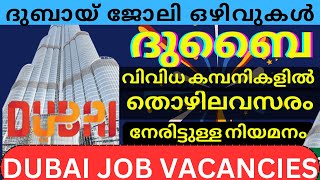 ദുബായ്തൊഴിലവസരങ്ങൾ  നേരിട്ടുള്ള നിയമനം  DUBAI JOB VACANICY  2024  Today job vacancy  UAE JOB [upl. by Babara]