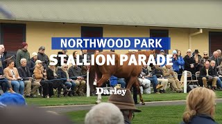 Thank you for attending the 2023 Northwood Park stallion parade [upl. by Aamsa347]