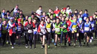 2018 02 25 Belgisch Kampioenschap Veldloop Brussel Pupillen eerste jaars jongens [upl. by Nyahs]