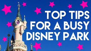 CaffeineampPixieDust Top Tips for a Busy Day at Disneyland Paris [upl. by Morganne]