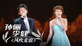 孙俪 李健《风吹麦浪》（1小时循环纯享版）  CCTV春晚 [upl. by Helgeson471]