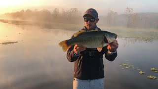 UNBELIEVABLE DAY BASS FISHING at Albert Falls South Africa [upl. by Leahcimnoj743]