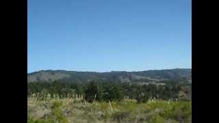 Horseback Riding at Costanoa [upl. by Ragan]