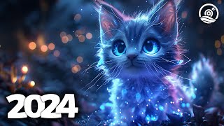 Music Mix 2024 🎧 EDM Mixes of Popular Songs 🎧 EDM Bass Boosted Music Mix 220 [upl. by Ardnuasal809]