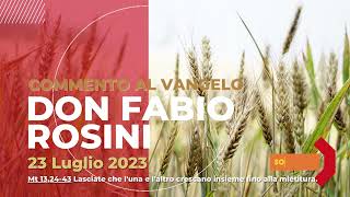 don Fabio Rosini  Commento al Vangelo di domenica 23 Luglio 2023 [upl. by Ramej]