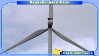 Naguabo Wind Farm [upl. by Broddy]