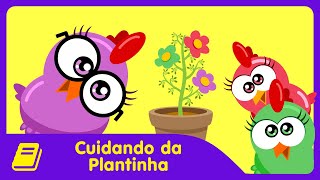 Papagaio Louro  Galinha Pintadinha 5  OFICIAL [upl. by Omland]