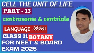 Cell The Unit Of Life 13  Cell The Unit Of Life in Odia Centrosome amp Centriole  Class 11NEET [upl. by Ashleigh]