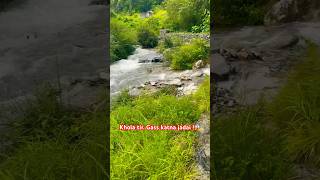 Khola Ma gass katna jadai 😱🔥 relkobato suprimmallathakuri gbchiran nature cortoon indragiri [upl. by Ilyse]